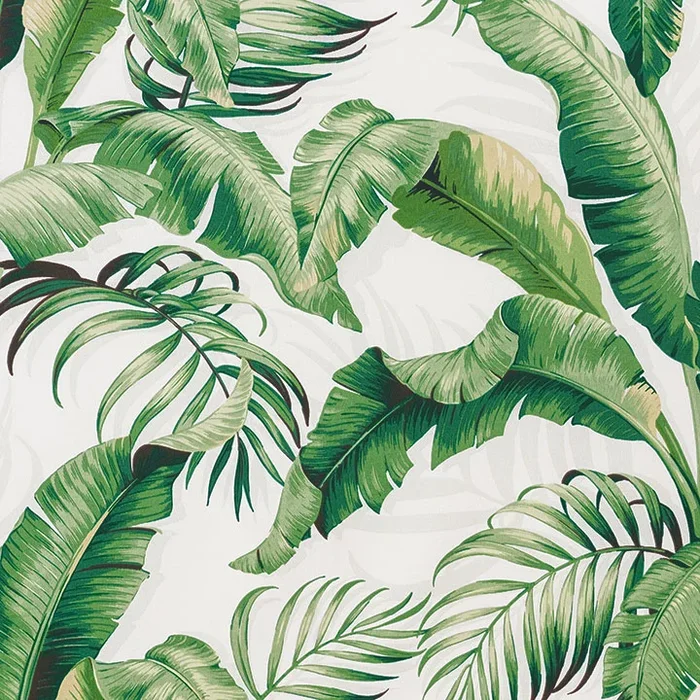 ABACA CLOUD
