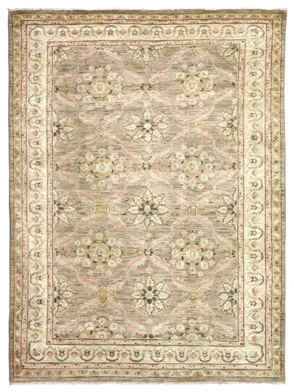 Amritsar Handwoven Transitional Rug, J67137