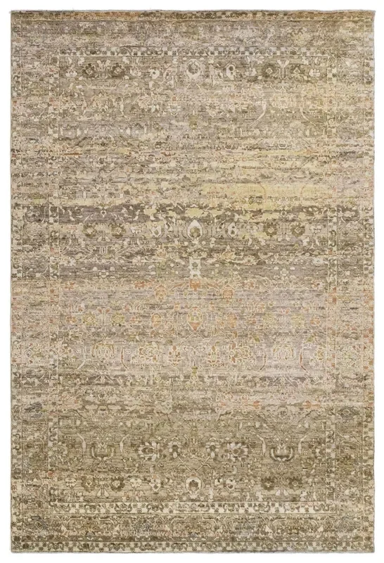 Amritsar Handwoven Transitional Rug, J80024
