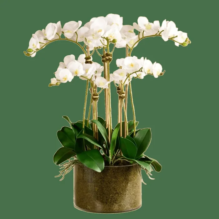 Artificial White Orchid Flower in Glass Vase