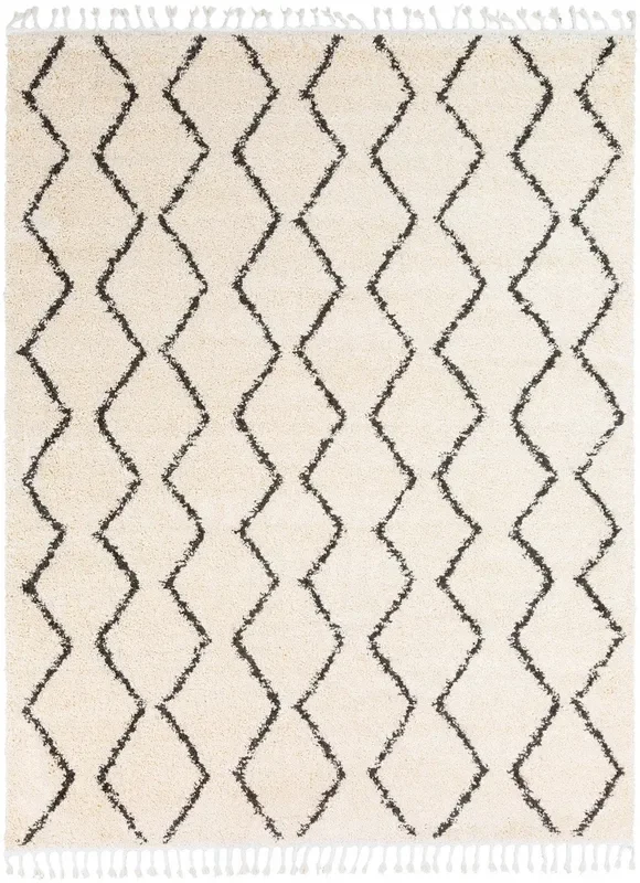 Berber Shag Rug