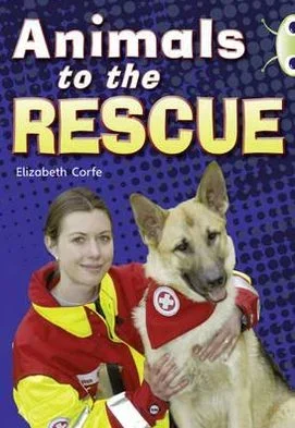 Bug Club Guided Non Fiction Year 2 Gold B Animals to the Rescue – BUG CLUB