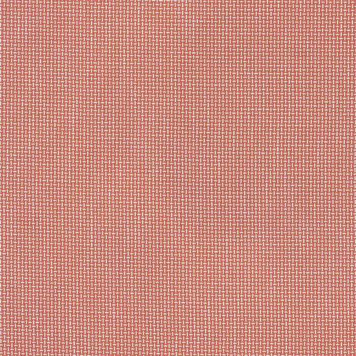 BULA GUAVA