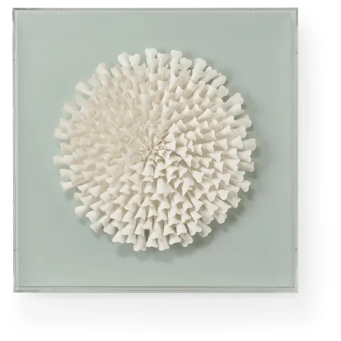 “Floating Succulent” Botanical Acrylic Wall Art