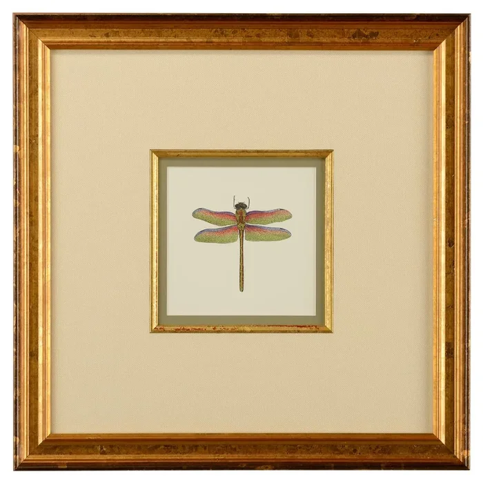 Gilded Dragonfly Trio: Mini Prints & Frame