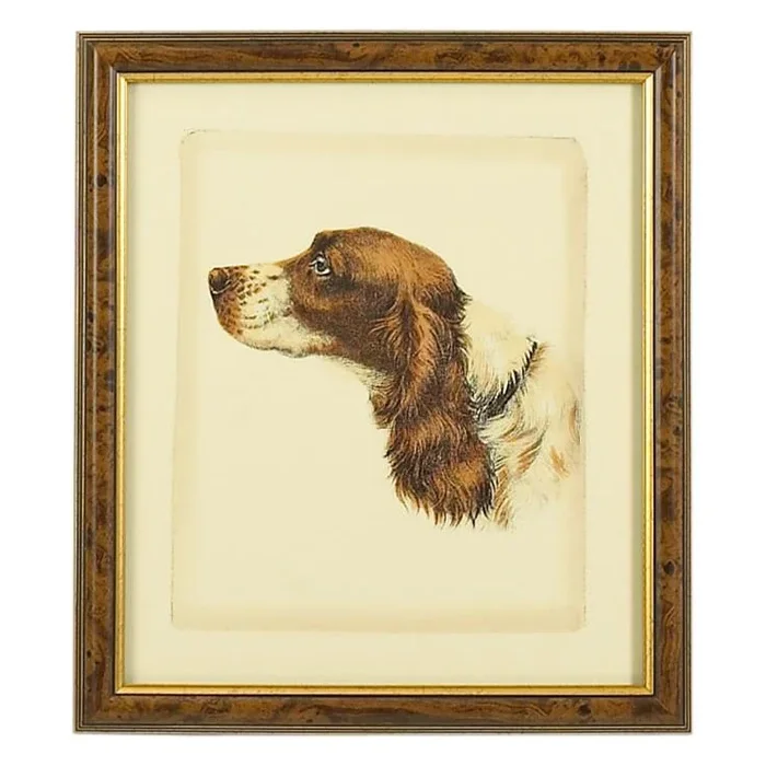 Hand Colored Dog Print in Brown Frame