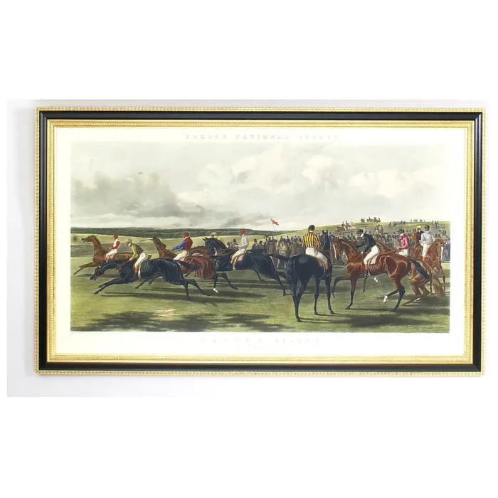 Hand Colored Engraving in Black and Gold Frame