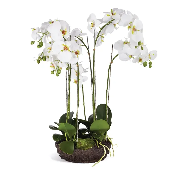 Phalaenopsis White Orchid Bowl Artificial Flower Drop-In 31.5″