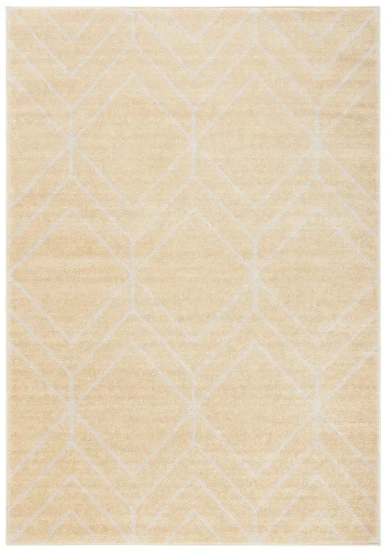 Safavieh Adirondack Adr241D Gold/Light Grey Rugs