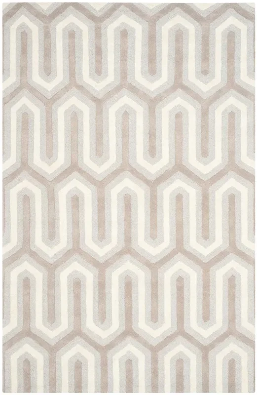 Safavieh Cambridge Cam351E Light Blue / Grey Rugs