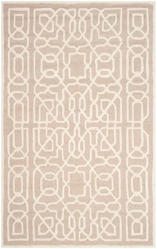 Safavieh Cambridge Cam570J Beige / Ivory Rugs