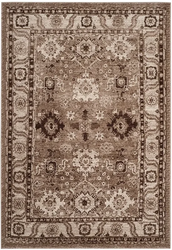 Safavieh Vintage Hamadan Vth214T Taupe Rug