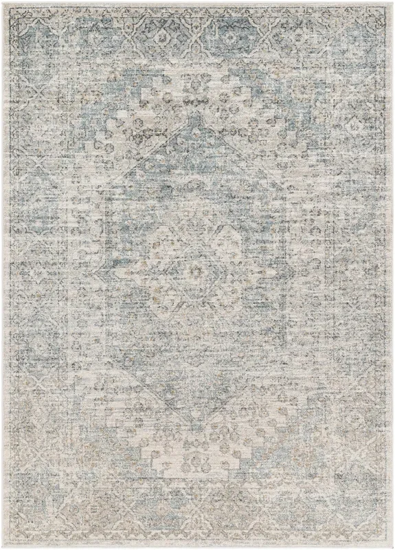 Surya Alpharetta Aph-2308 Light Beige, Cream, Medium Gray, Charcoal, Blue, Amber Rug
