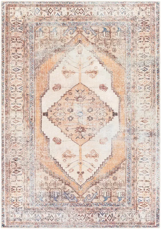 Surya Amelie Aml-2312 Camel, Wheat, Ivory, Dark Brown Rugs