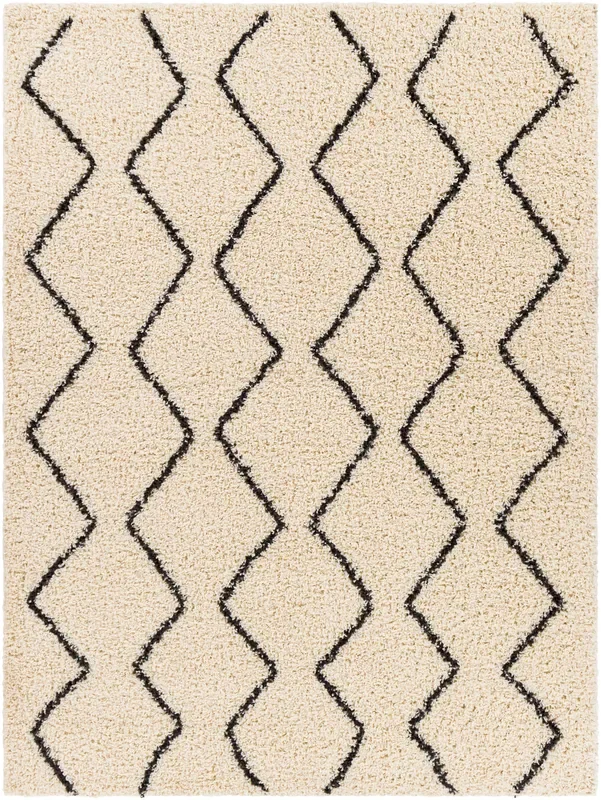 Surya Beni Shag Bsh-2302 Charcoal, Cream Rugs