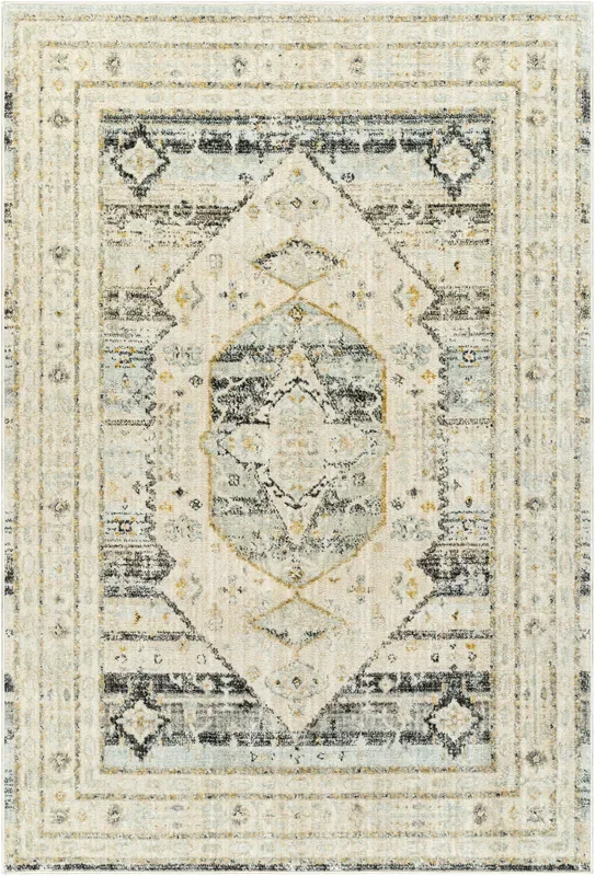 Surya Bitlis Bsi-2300 Tan, Silver Gray, Beige, Gray, Black Rug