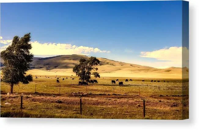 The Laramie Plain Canvas Print
