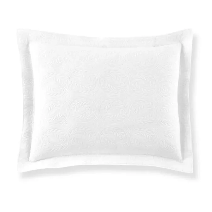 Vienna Euro Sham
