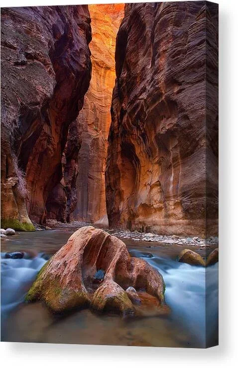 Zion River Narrows Canvas Print